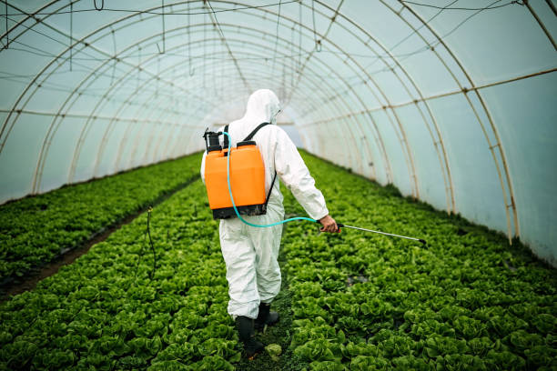 Best Pest Control Near Me  in Fair Haven, NJ