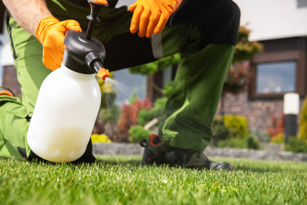 Best Spider Control Near Me  in Fair Haven, NJ