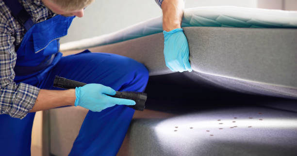 Best Flea Control Services  in Fair Haven, NJ