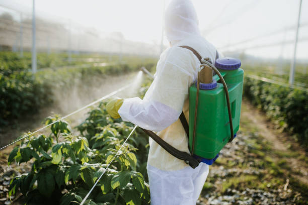 Pest Control for Restaurants in Fair Haven, NJ